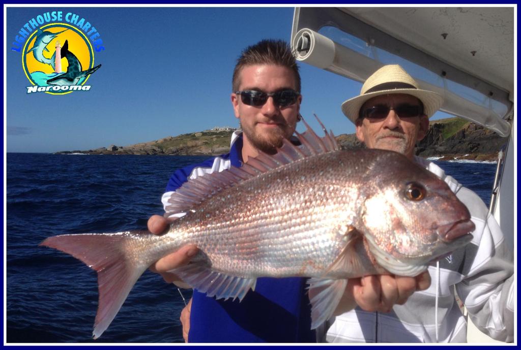 Snapper - Lighthouse Charters Narooma